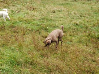 2009-10-03_ntb_9275