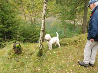 2009-10-03_ntb_9277