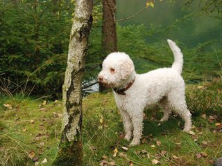 2009-10-03_ntb_9278