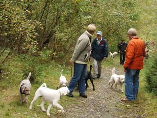 2009-10-03_ntb_9283