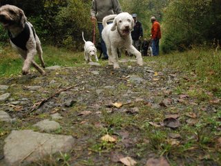 2009-10-03_ntb_9285