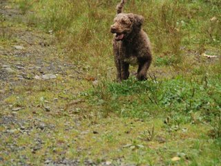 2009-10-03_ntb_9287