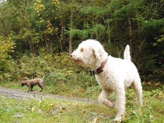 2009-10-03_ntb_9290