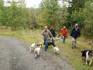 2009-10-03_ntb_9291