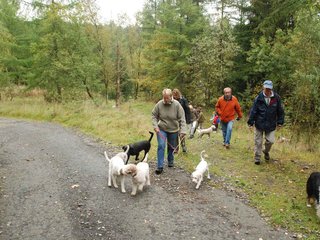 2009-10-03_ntb_9292