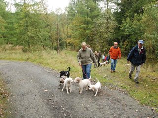 2009-10-03_ntb_9293