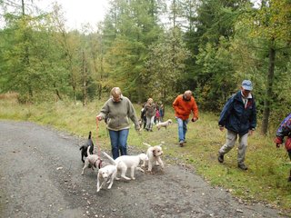 2009-10-03_ntb_9294