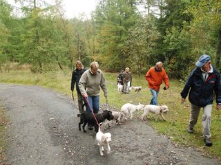 2009-10-03_ntb_9295