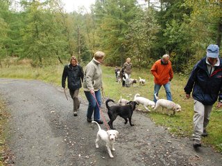 2009-10-03_ntb_9296