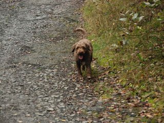 2009-10-03_ntb_9297
