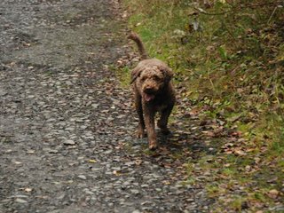 2009-10-03_ntb_9298