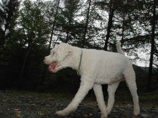 2009-10-03_ntb_9302