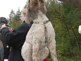 2009-10-03_ntb_9312