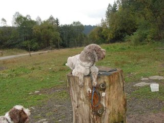 2009-10-03_ntb_9315