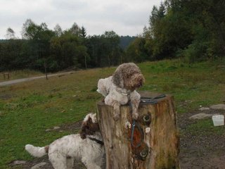 2009-10-03_ntb_9316