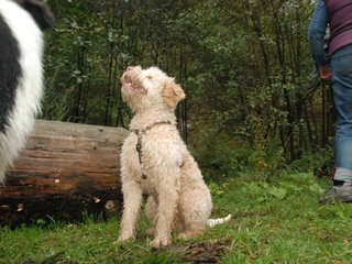 2009-10-03_ntb_9330