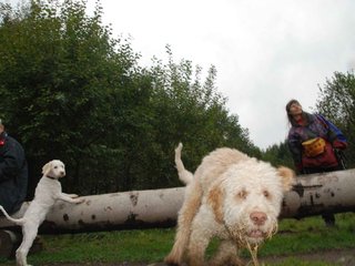 2009-10-03_ntb_9333