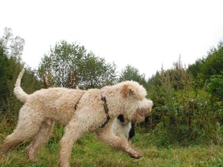 2009-10-03_ntb_9334