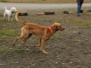 2009-10-03_ntb_9336