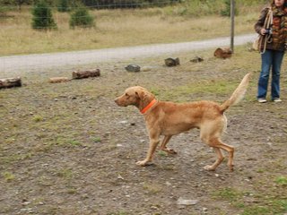 2009-10-03_ntb_9337