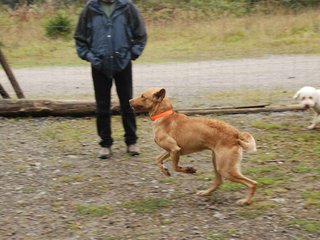 2009-10-03_ntb_9339