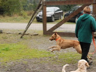 2009-10-03_ntb_9340