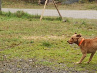 2009-10-03_ntb_9341