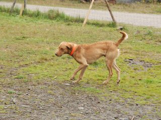 2009-10-03_ntb_9342