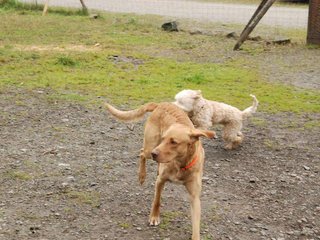 2009-10-03_ntb_9343