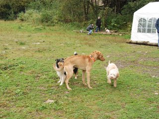 2009-10-03_ntb_9344
