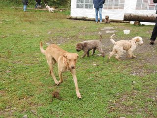 2009-10-03_ntb_9345