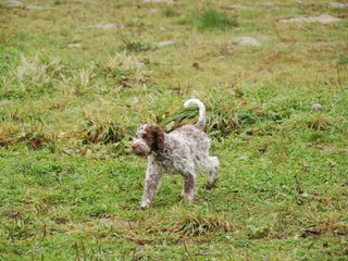 2009-10-03_ntb_9347