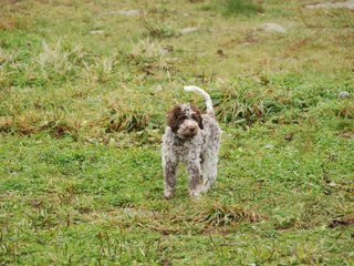 2009-10-03_ntb_9348