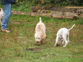 2009-10-03_ntb_9351