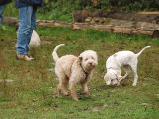 2009-10-03_ntb_9352