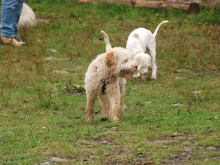 2009-10-03_ntb_9353
