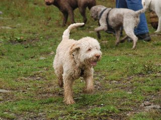 2009-10-03_ntb_9354