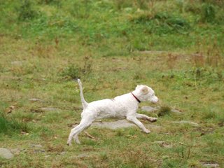 2009-10-03_ntb_9355