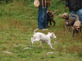 2009-10-03_ntb_9356