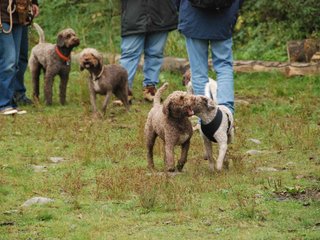 2009-10-03_ntb_9357