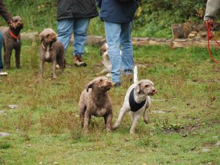 2009-10-03_ntb_9358