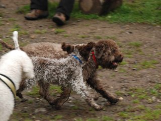 2009-10-03_ntb_9359