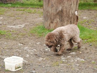 2009-10-03_ntb_9360