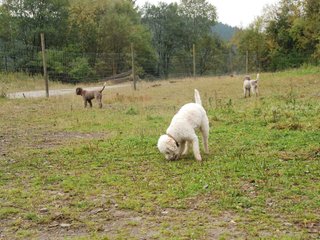 2009-10-03_ntb_9361
