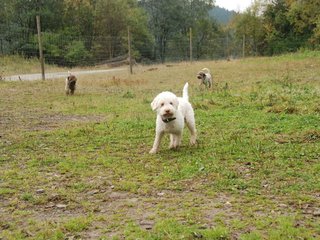 2009-10-03_ntb_9362