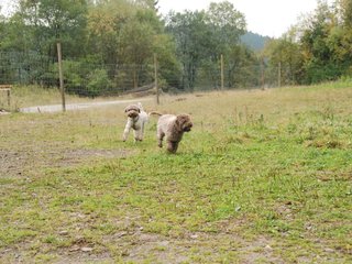 2009-10-03_ntb_9365