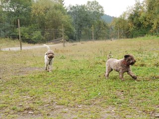 2009-10-03_ntb_9366