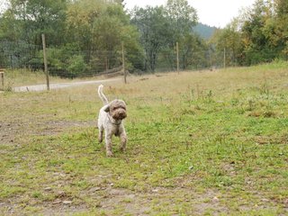 2009-10-03_ntb_9367