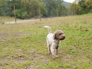 2009-10-03_ntb_9368