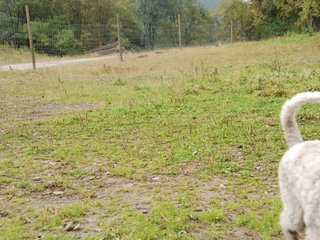 2009-10-03_ntb_9369